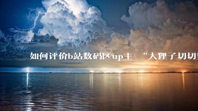 如何评价b站数码区up主 “大狸子切切里”?