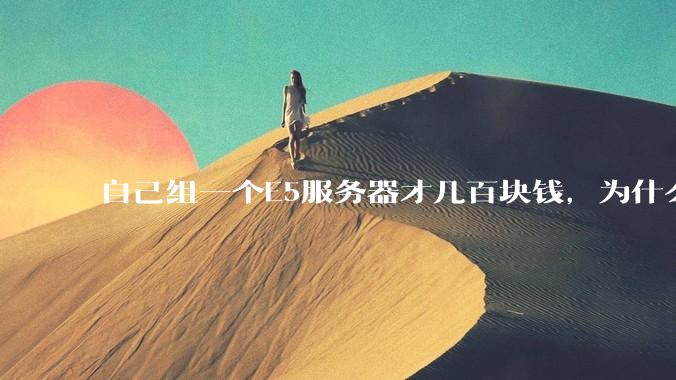 自己组一个E5服务器才几百块钱，为什么去阿里云租这么贵?