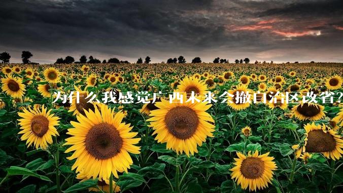 为什么我感觉广西未来会撤自治区改省？