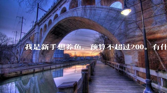 我是新手想养鱼，预算不超过200。有什么好的建议或者禁忌吗。？