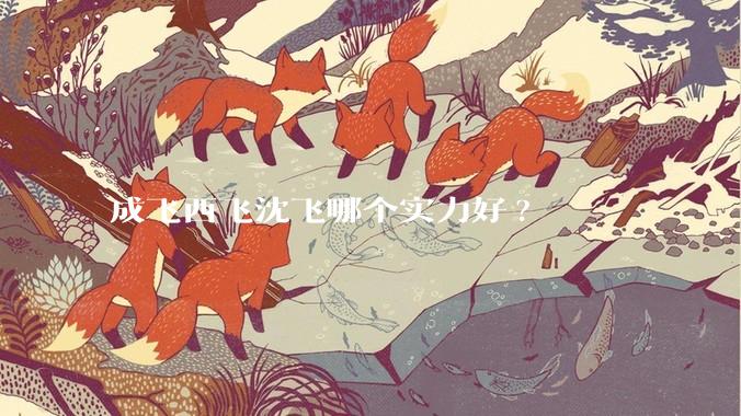 成飞西飞沈飞哪个实力好?