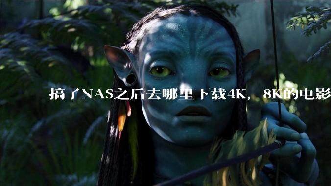 搞了NAS之后去哪里下载4K，8K的电影？