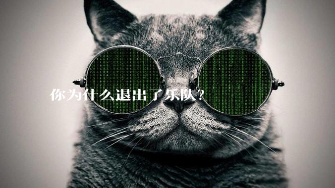 你为什么退出了乐队？