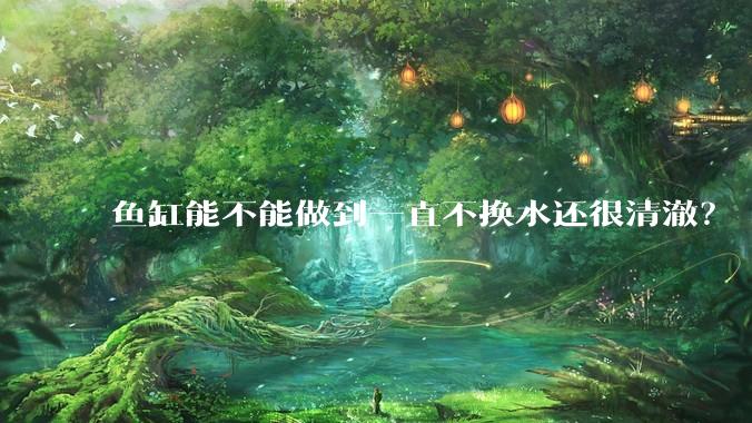 鱼缸能不能做到一直不换水还很清澈？