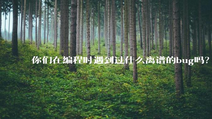 你们在编程时遇到过什么离谱的bug吗？