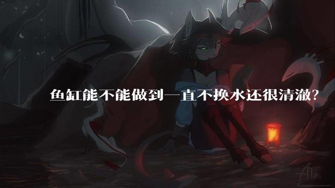 鱼缸能不能做到一直不换水还很清澈？