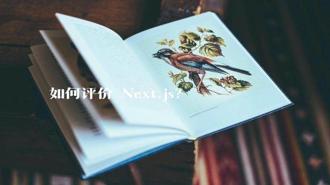 如何评价 Next.js？