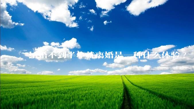 结婚不到半年就离婚是一种什么体验?