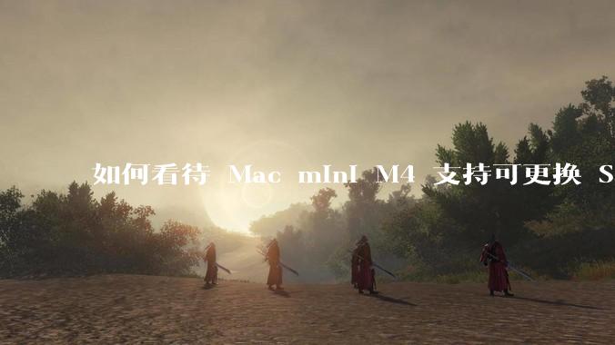 如何看待 Mac mini M4 支持可更换 SSD？