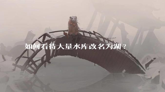 如何看待大量水库改名为湖?