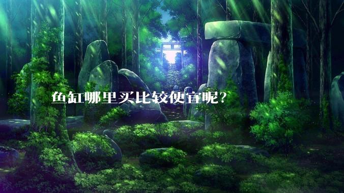 鱼缸哪里买比较便宜呢？