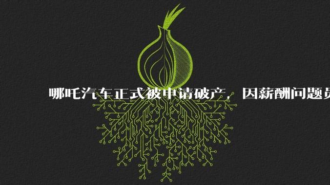 哪吒汽车正式被申请破产，因薪酬问题员工已两月没去上班，被申请破产意味着什么？员工权益还能得到保障吗？