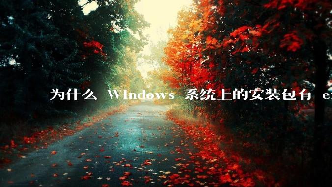 为什么 Windows 系统上的安装包有 exe 和 msi 两种格式，有什么区别？
