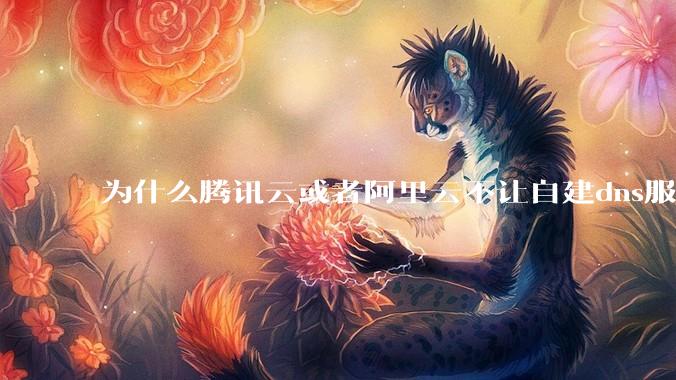 为什么腾讯云或者阿里云不让自建dns服务器?