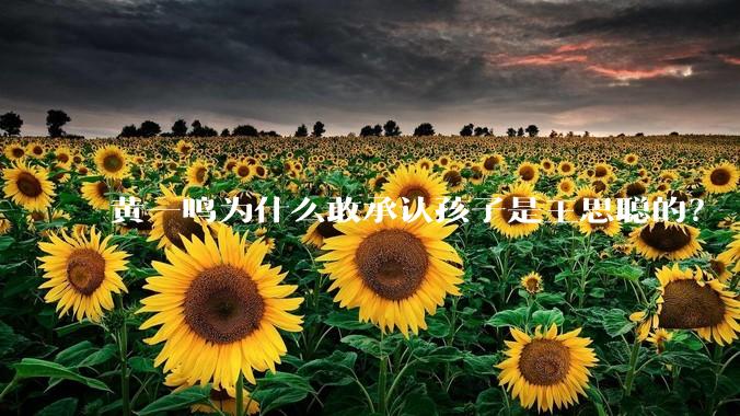 黄一鸣为什么敢承认孩子是王思聪的？
