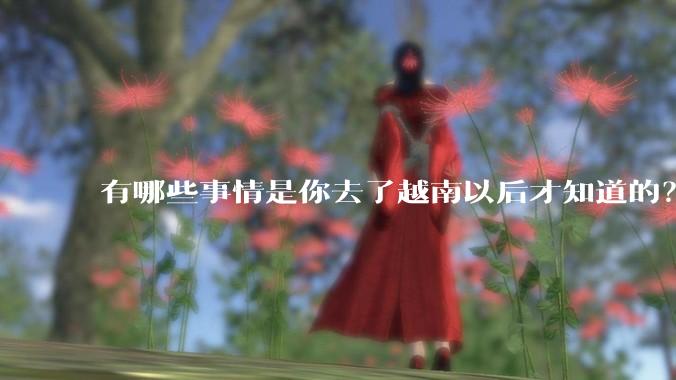 有哪些事情是你去了越南以后才知道的？