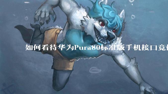 如何看待华为Pura80标准版手机接口竟倒退成USB 2.0？要是也烧了WIFI是不是不好备份数据？