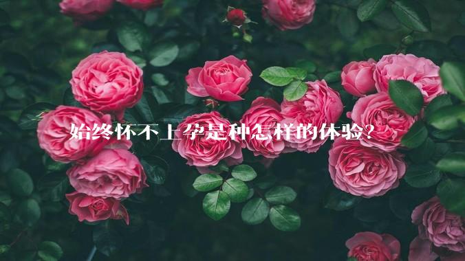 始终怀不上孕是种怎样的体验？