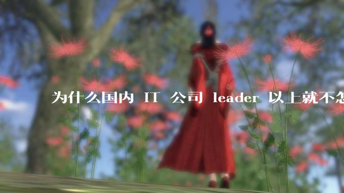 为什么国内 IT 公司 leader 以上就不怎么写代码，而据说 Google 的 Jeff Dean 还写代码？到底哪种情况好呢？