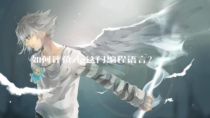 如何评价zig这门编程语言？