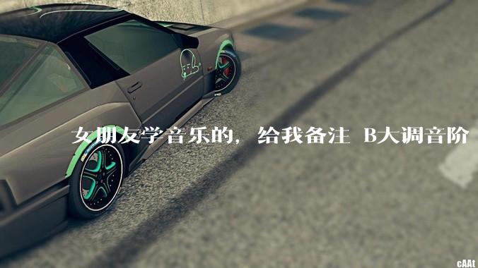 女朋友学音乐的，给我备注 B大调音阶 是什么含义呢？