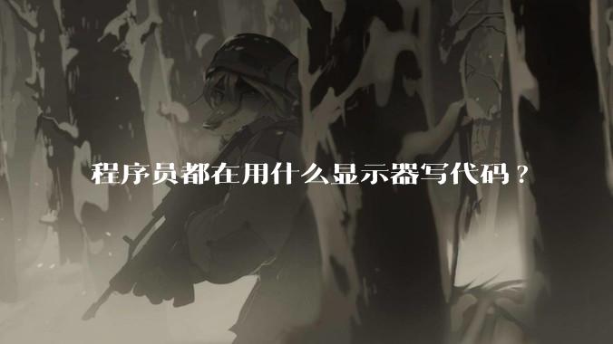 程序员都在用什么显示器写代码?
