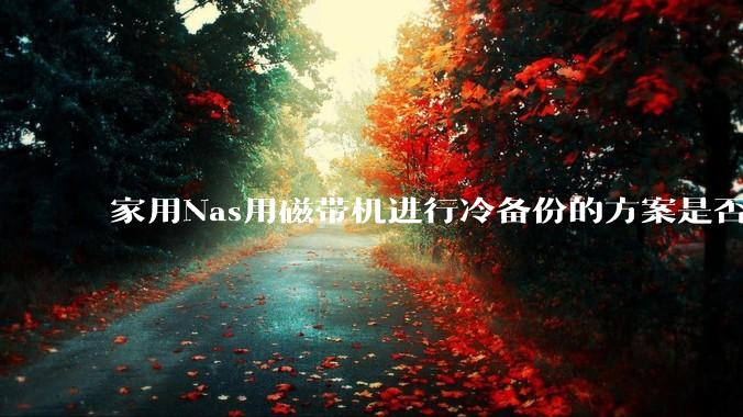 家用Nas用磁带机进行冷备份的方案是否可行？