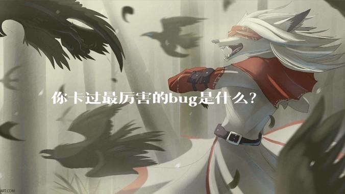 你卡过最厉害的bug是什么？