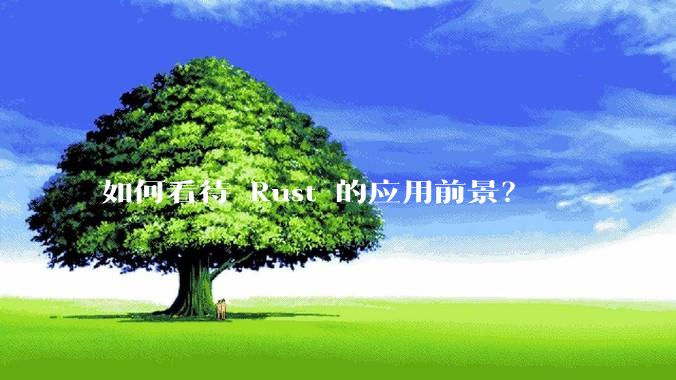 如何看待 Rust 的应用前景？