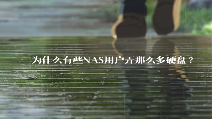 为什么有些NAS用户弄那么多硬盘?