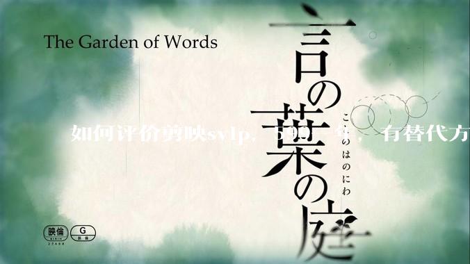 如何评价剪映svip，599一年，有替代方案吗？