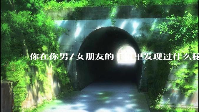 你在你男/女朋友的手机里发现过什么秘密？