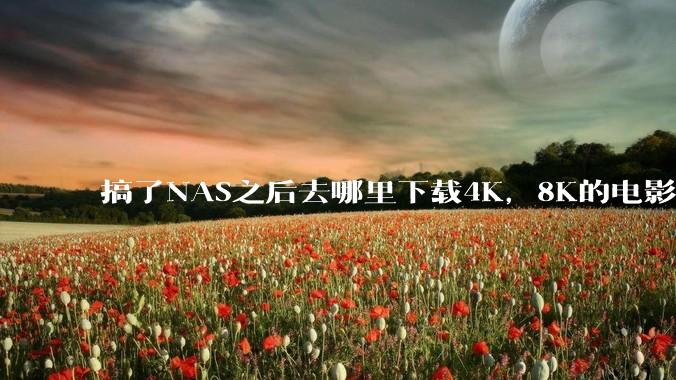 搞了NAS之后去哪里下载4K，8K的电影？